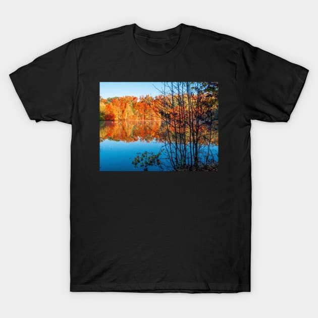 Autumn Contrast T-Shirt by andykazie